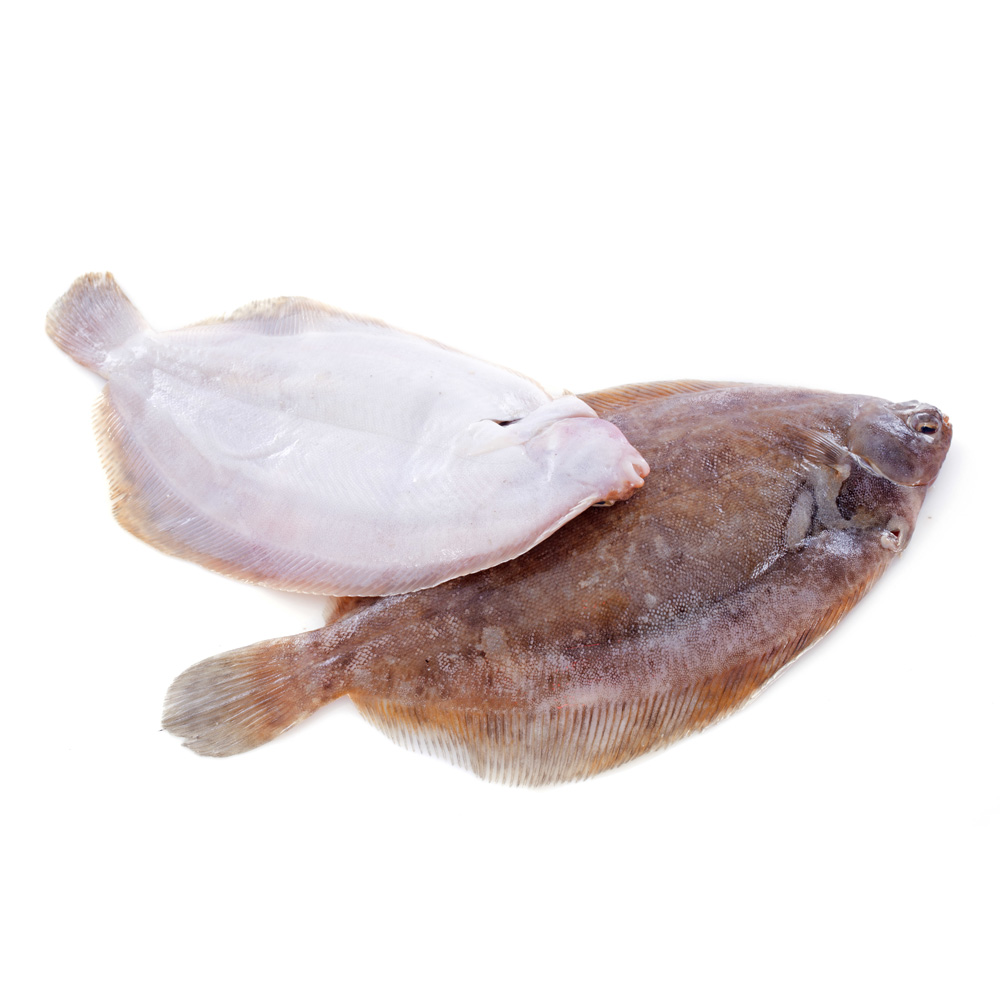 Limande Sole Acheter de la limande sole fraîche