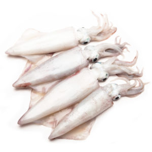 Encornets