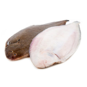 Sole