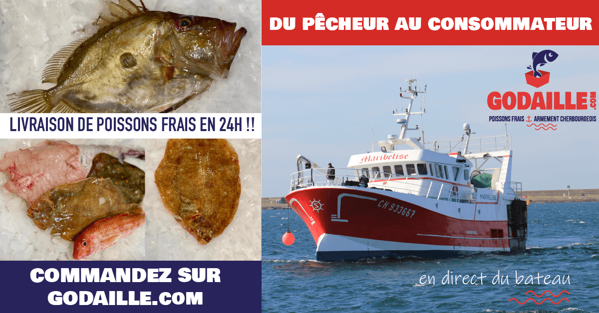 Vente directe Producteur livraison à domicile Poisson frais en ligne