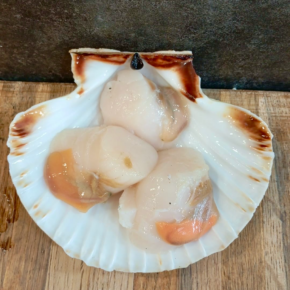 Noix de Saint Jacques de Normandie