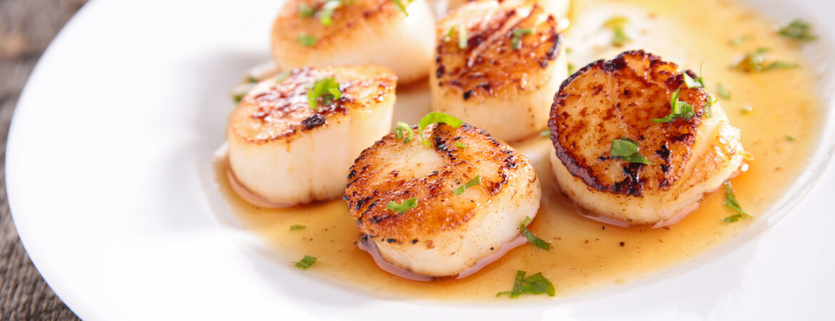 Noix de Saint-Jacques gratinées au champagne : la recette festive incontournable